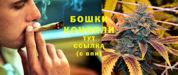 спайс Мегион