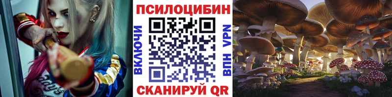 сколько стоит  Каменск-Уральский  Псилоцибиновые грибы GOLDEN TEACHER 